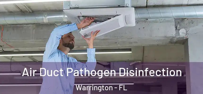 Air Duct Pathogen Disinfection Warrington - FL