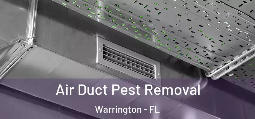 Air Duct Pest Removal Warrington - FL