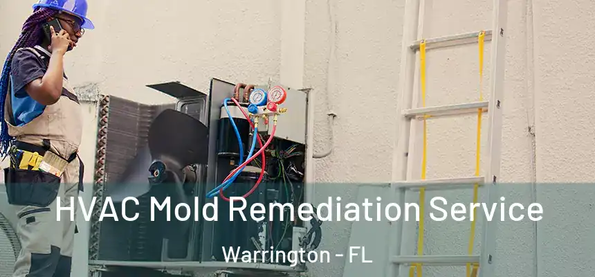 HVAC Mold Remediation Service Warrington - FL