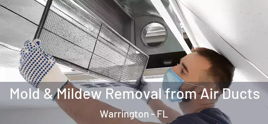 Mold & Mildew Removal from Air Ducts Warrington - FL