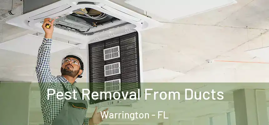 Pest Removal From Ducts Warrington - FL