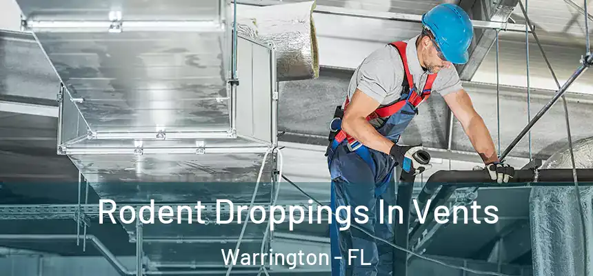 Rodent Droppings In Vents Warrington - FL