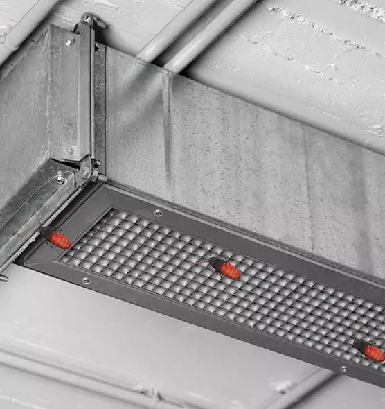 Affordable Insect Removal from Air Ducts in Warrington, FL