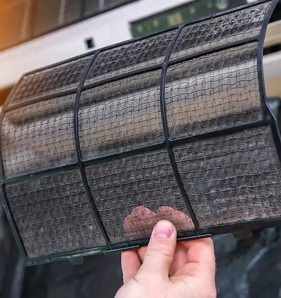 About Pet Dander Duct Cleaning in Warrington, FL